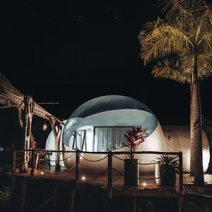 Land Bubble Glamping By Mint קברטה